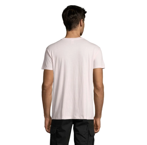 rosa pálido REGENT S11380