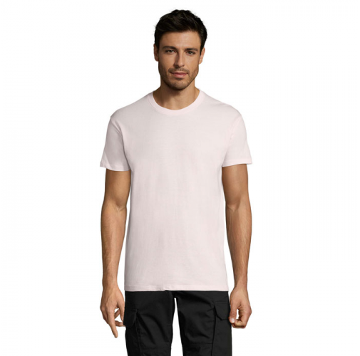 REGENT S11380