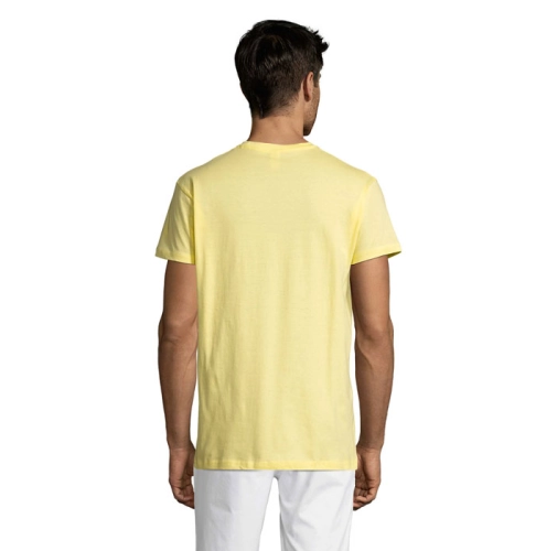 amarillo pálido REGENT S11380