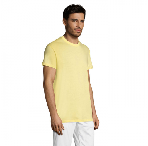 REGENT S11380