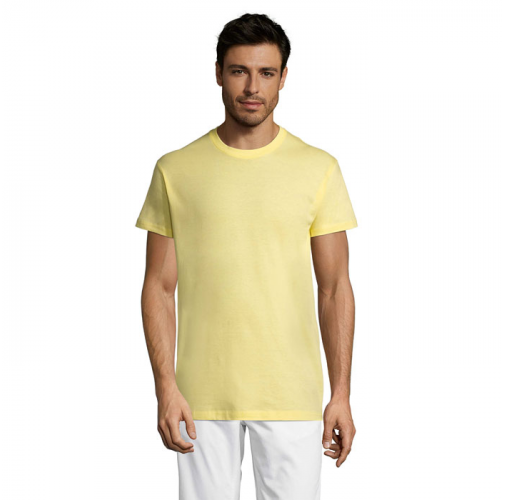 REGENT S11380
