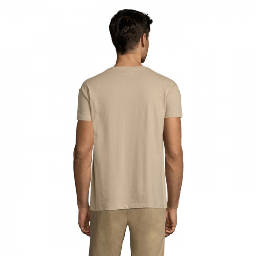 REGENT S11380