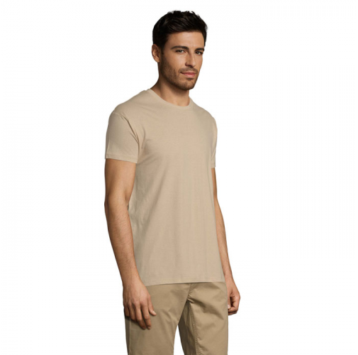 REGENT S11380