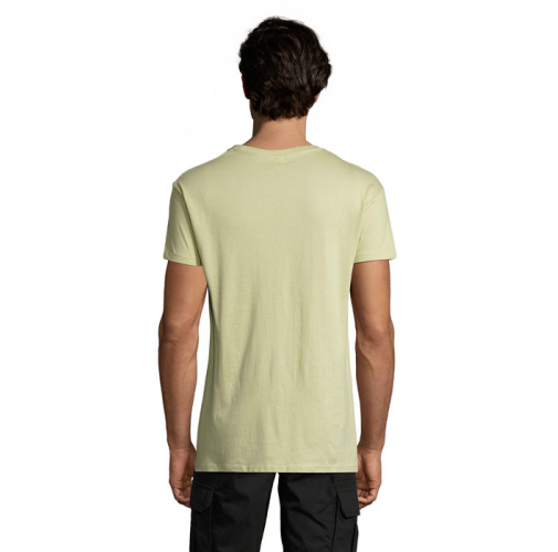 REGENT S11380