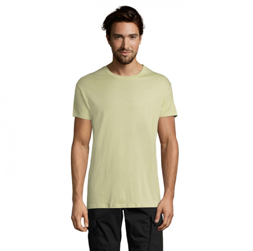 REGENT S11380