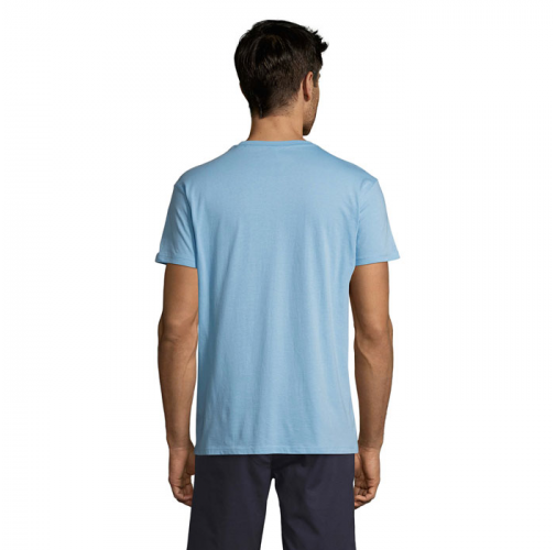 REGENT S11380