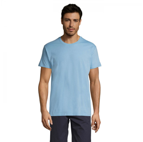 REGENT S11380