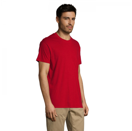 REGENT S11380