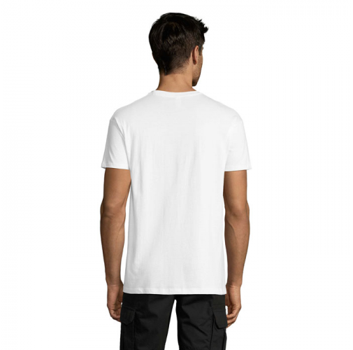 REGENT S11380