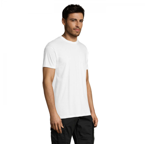 REGENT S11380