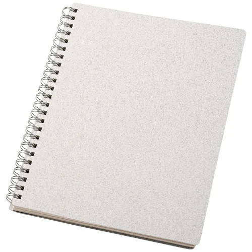 LIBRETA A5 CON ESPIRAL 