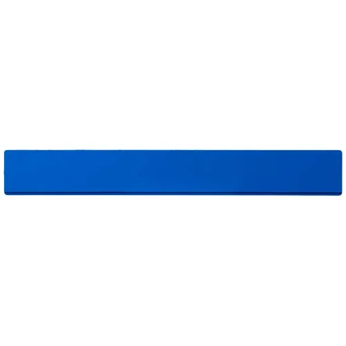 Regla de plástico de 30 cm 