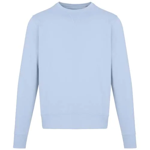 Sudadera unisex de cuello redondo de 300 g/m² Arora