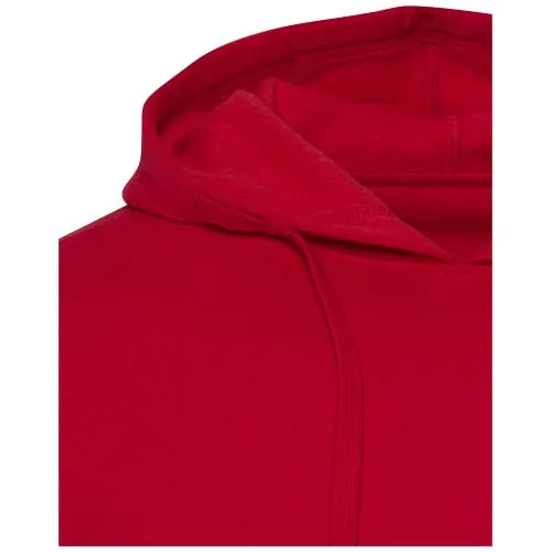 Sudadera con capucha unisex 