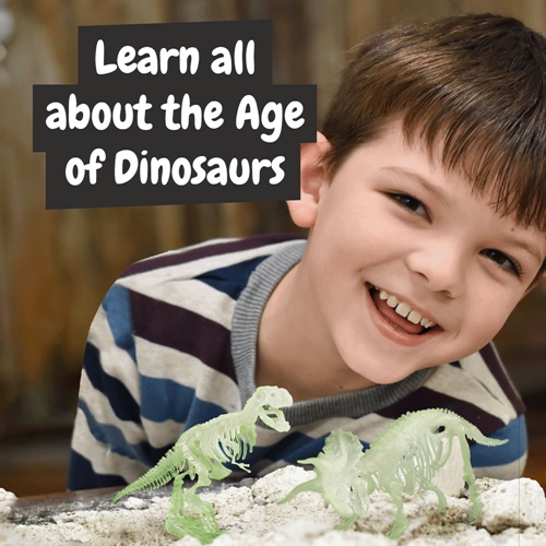 multicolor 2 in 1 Fossil Excavation Kit I. Juego educativo para niños