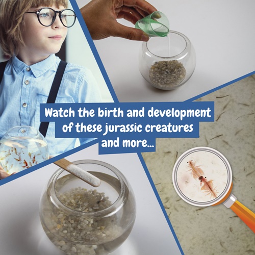 natural Jurassic Pets Kit II. Juego educativo suministrado con una bolsa de regalo de papel kraft (115 g/m²), fabricado con material certificado FSC™ y otros materiales controlados