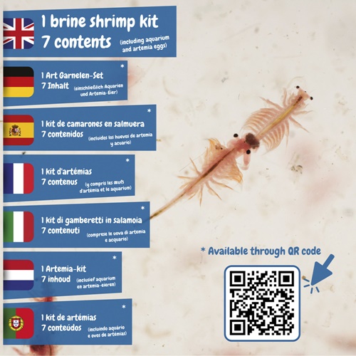 natural Jurassic Pets Kit II. Juego educativo suministrado con una bolsa de regalo de papel kraft (115 g/m²), fabricado con material certificado FSC™ y otros materiales controlados