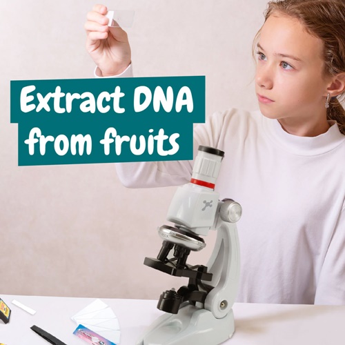 MICROSCOPE. Juguete educativo para niños