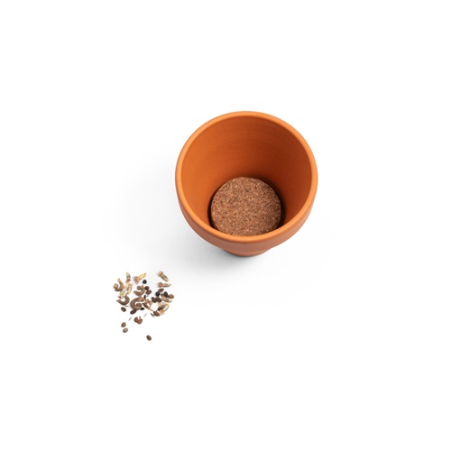 natural ANETHUM. Tiesto de barro con semillas de eneldo
