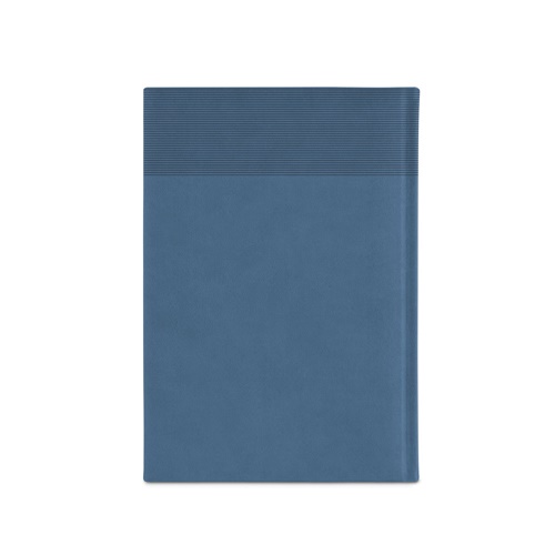 blue CARROLL A5. Agenda A5