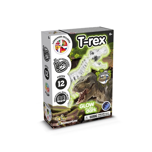 Fossil Excavation Kit I. Juego educativo para niños