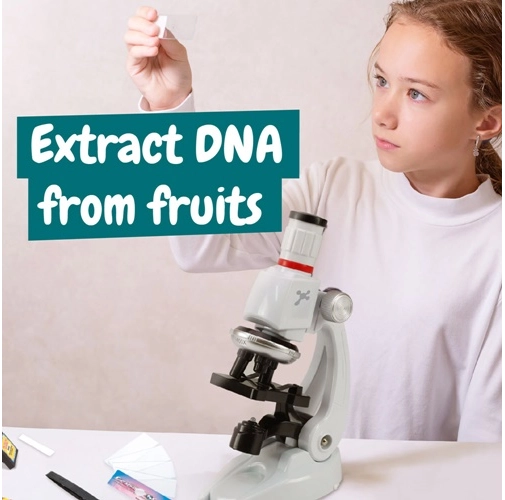 multicolor MICROSCOPE. Juguete educativo para niños