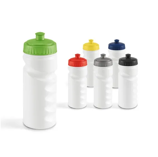 LOWRY. Botella deportiva 530 mL