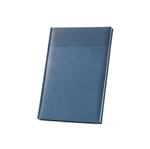blue CARROLL B5. Agenda B5