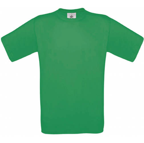 kelly green Camiseta Exact190 niños