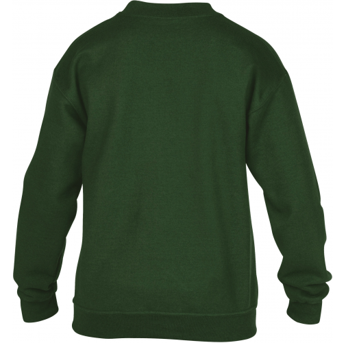 forest green Sudadera Heavy Blend™ niños cuello redondo