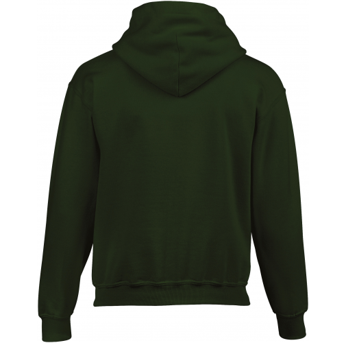 forest green Sudadera Heavy Blend™ capucha niños