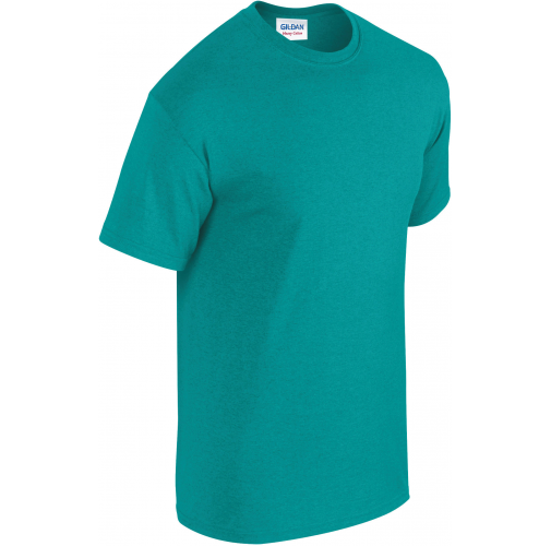 antique jade dome Camiseta Heavy Cotton™ hombre