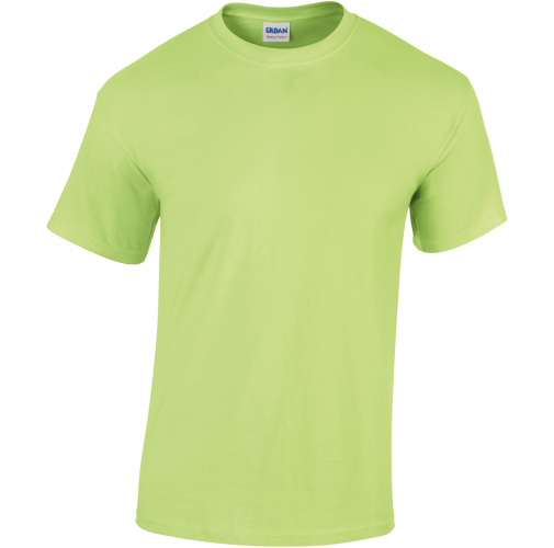 mint green Camiseta Heavy Cotton™ hombre