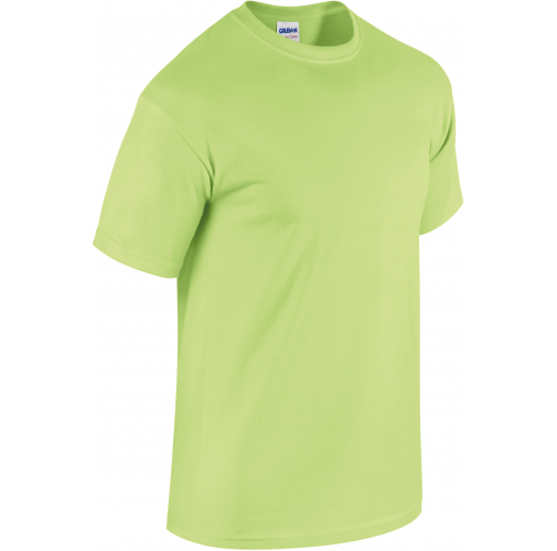 mint green Camiseta Heavy Cotton™ hombre