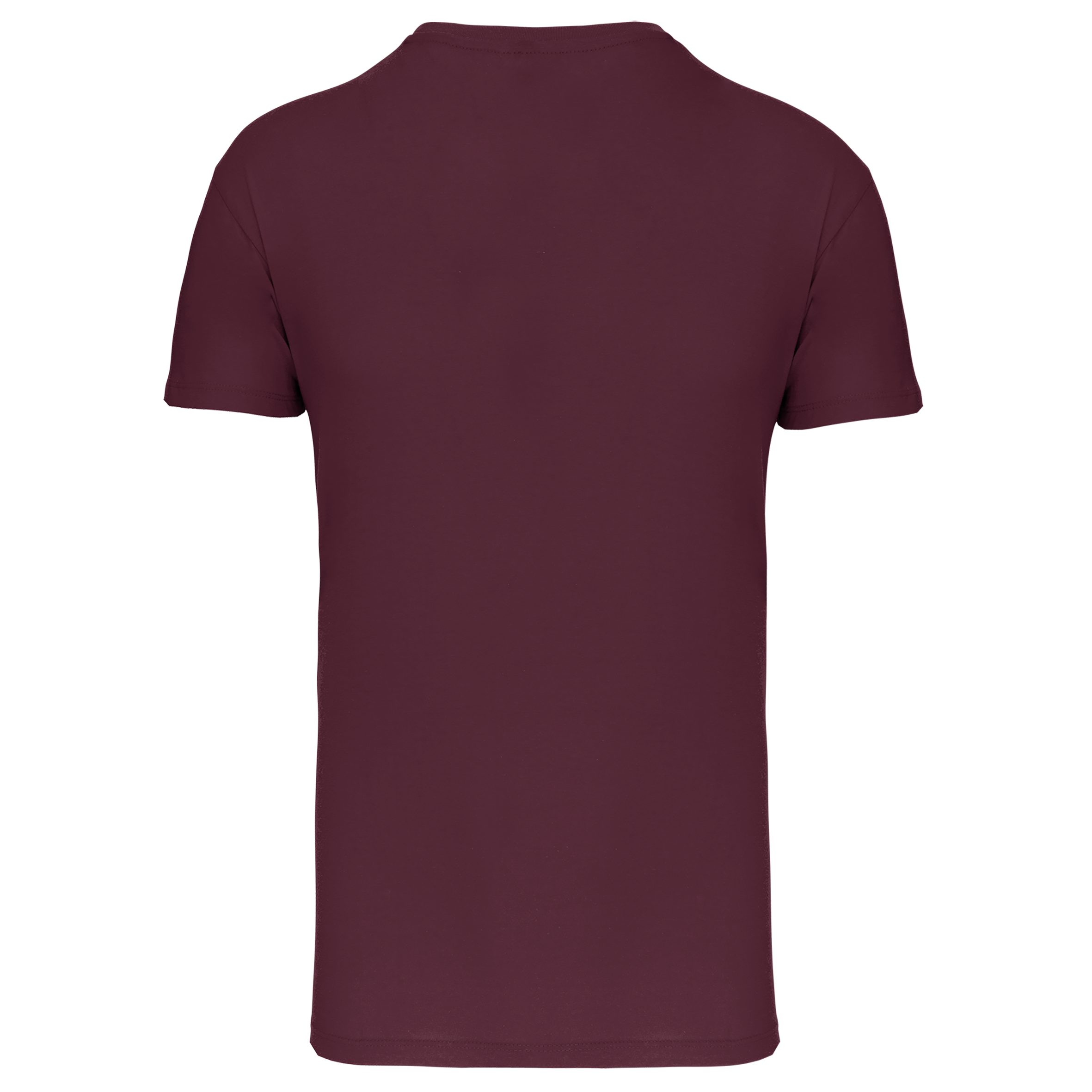 Camiseta BIO150 IC cuello de pico hombre