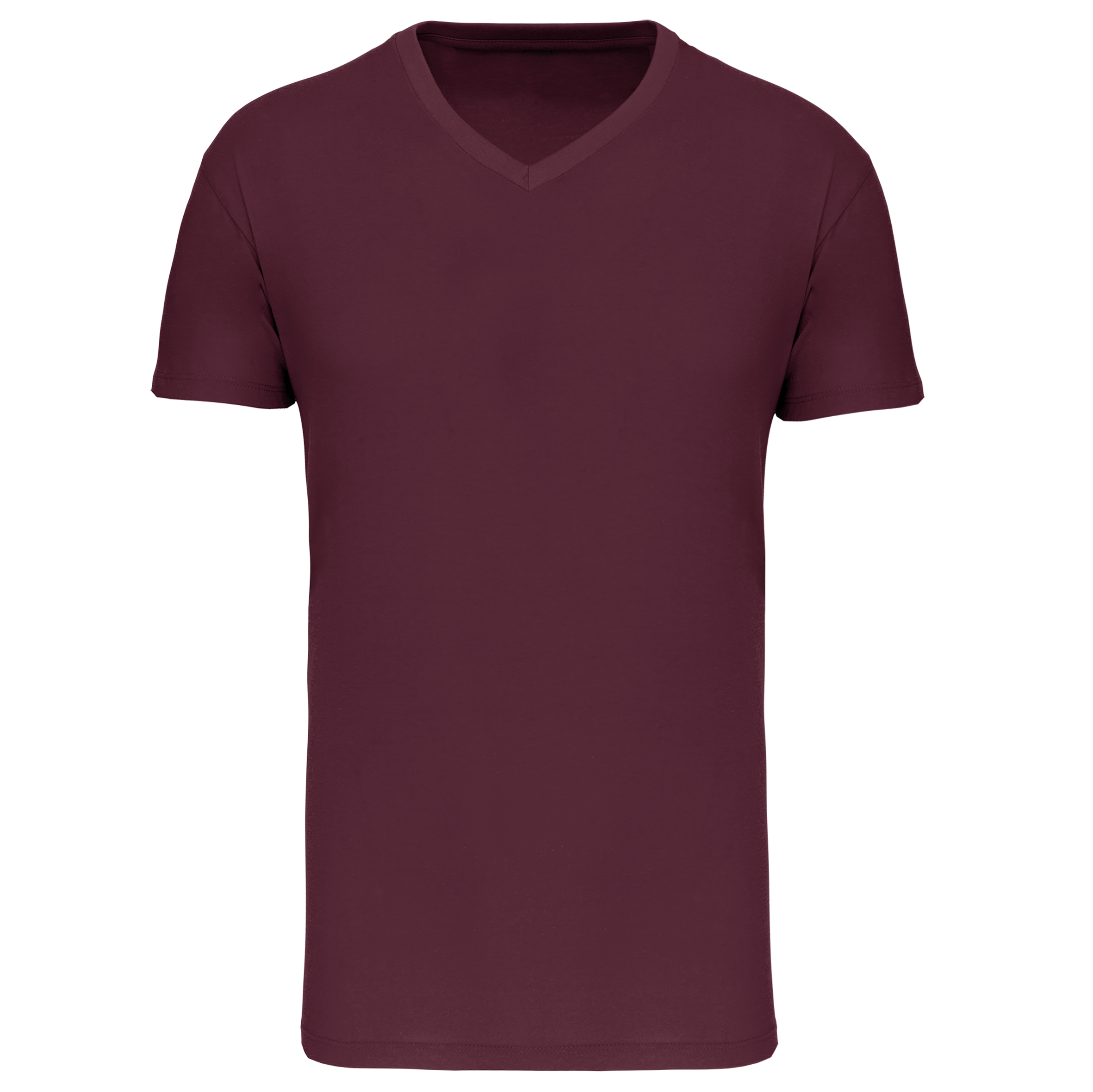 Camiseta BIO150 IC cuello de pico hombre