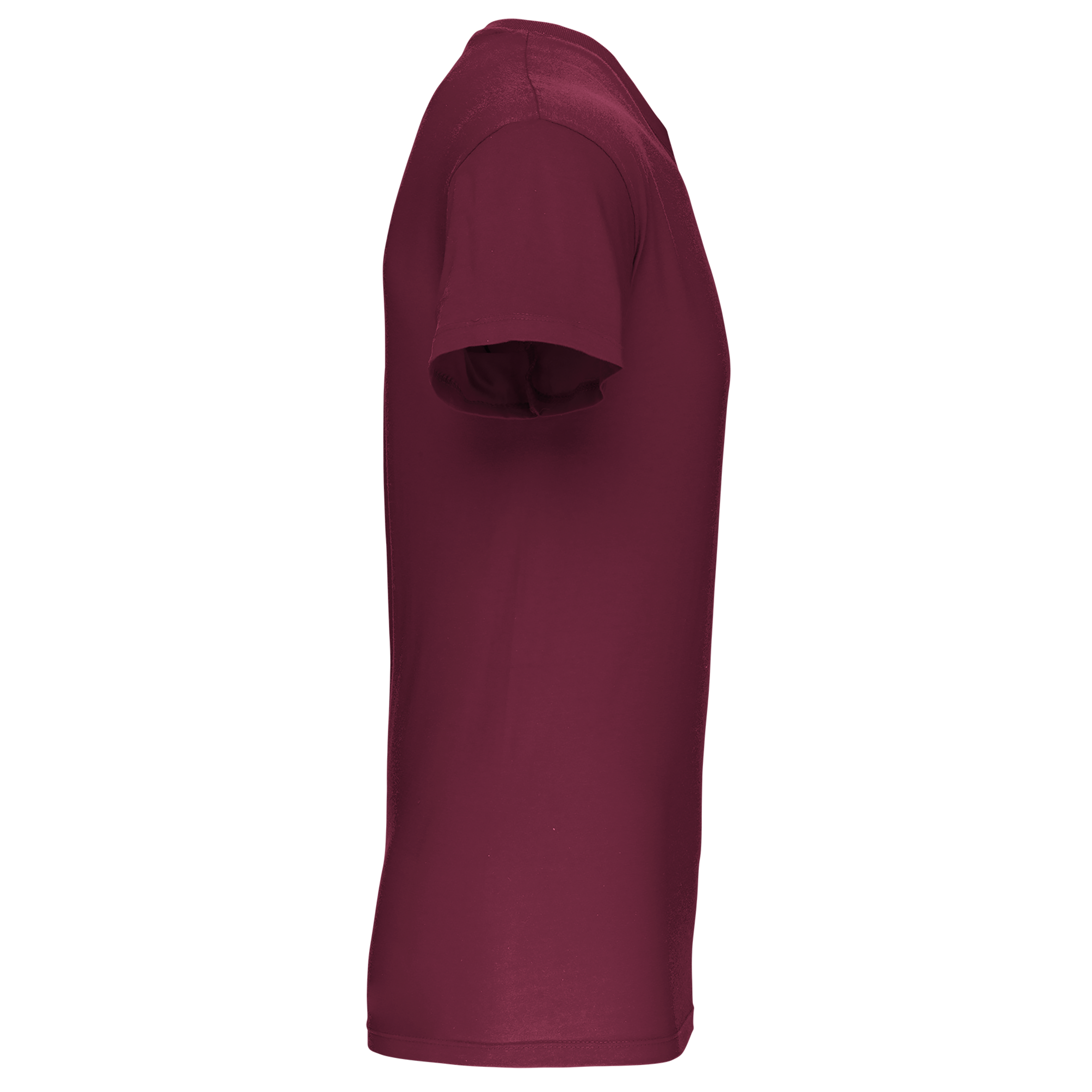 Camiseta BIO150 IC cuello de pico hombre