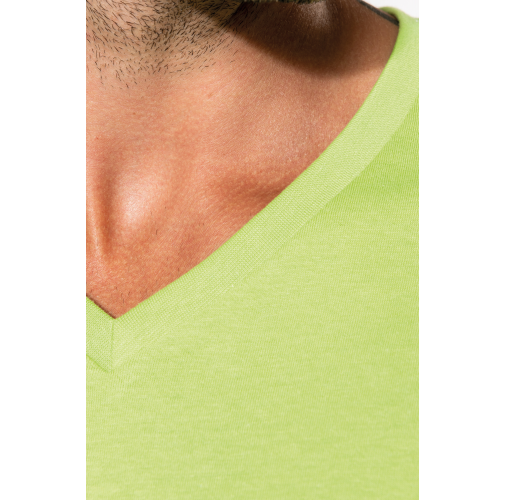 Camiseta BIO150 IC cuello de pico hombre