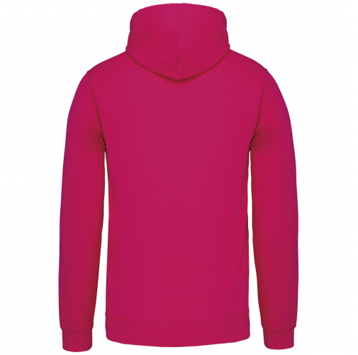 Sudadera capucha contrastada hombre