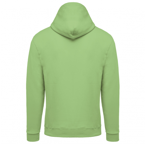 apple green Sudadera con capucha de hombre