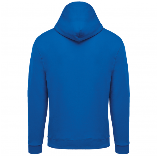 light royal blue Sudadera capucha y cremallera unisex