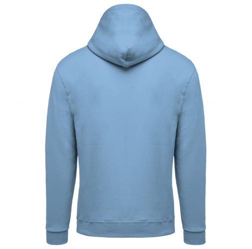 sky blue Sudadera capucha y cremallera unisex