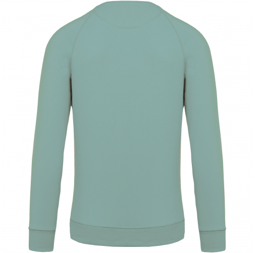 sage Sudadera algodón orgánico con cuello redondo y mangas raglán