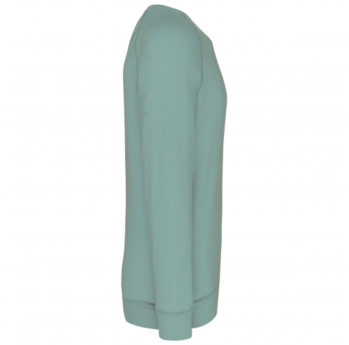 sage Sudadera algodón orgánico con cuello redondo y mangas raglán