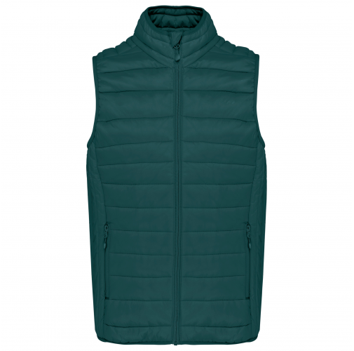 mineral green Chaleco acolchado y ligero hombre