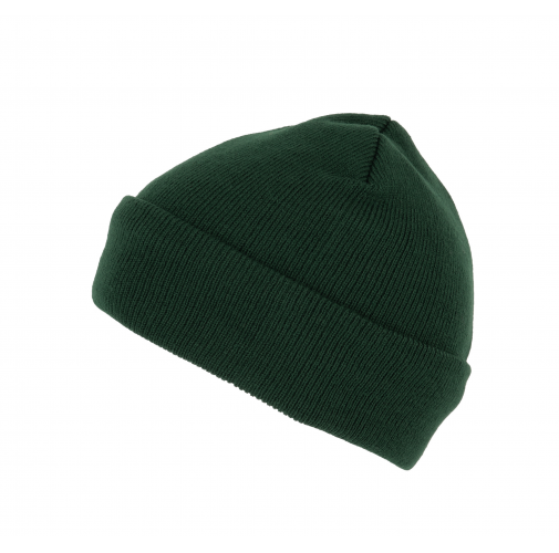 forest green Gorro con forro Thinsulate™