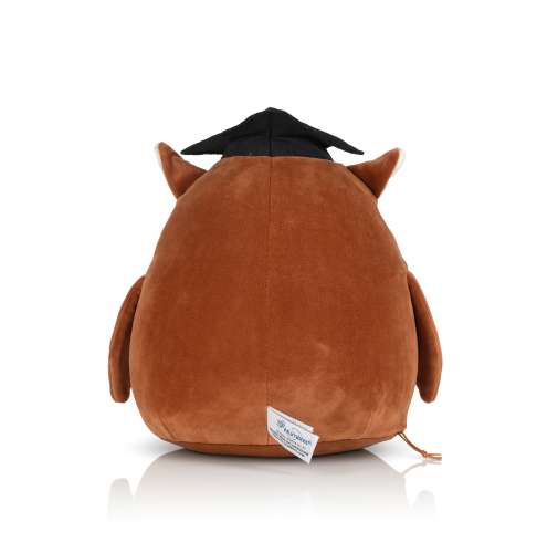 wise owl Peluches Squidgy's<br/>