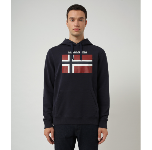 Sudadera capucha Bellyn H