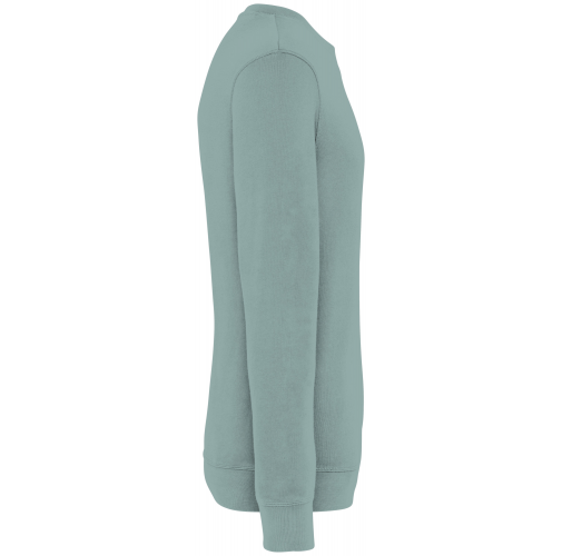 washed jade green Sudadera ecorresponsable de cuello redondo French Terry unisex