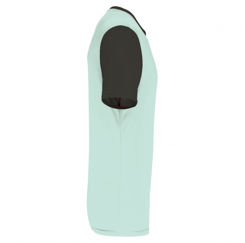 ice mint / dark grey Camiseta manga corta bicolor adulto